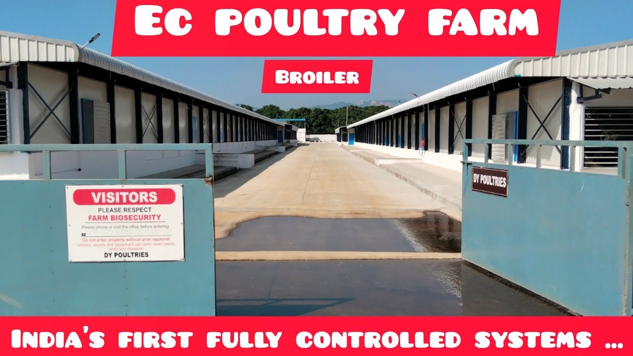 EC POULTRY FARM