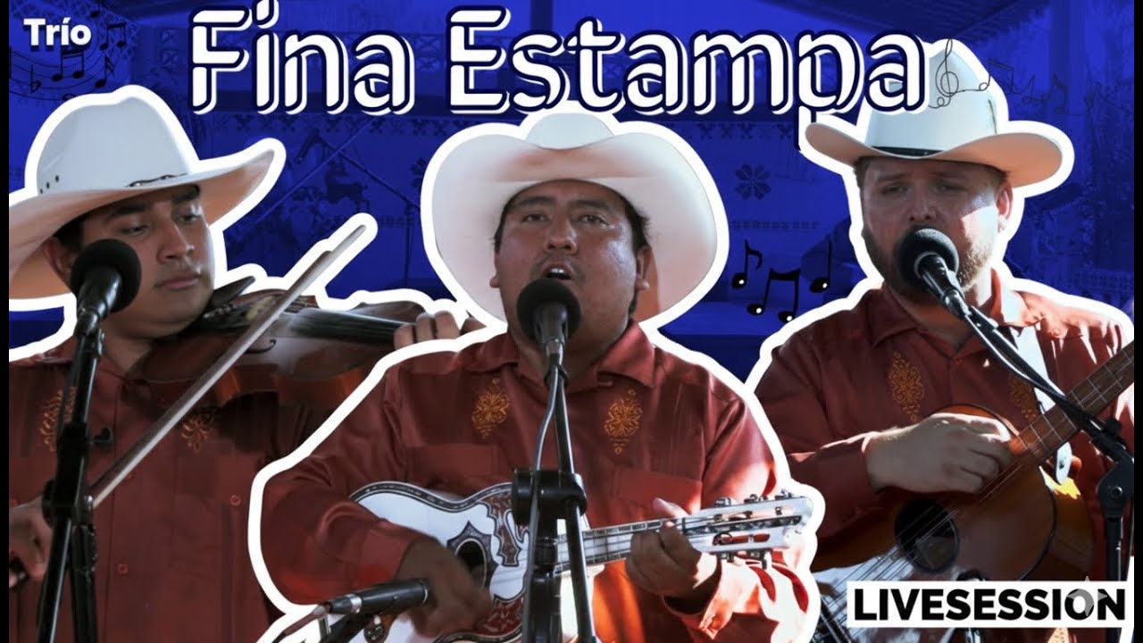 🔥TRIO FINA ESTAMPA 
