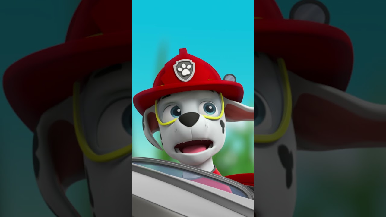 PAW Patrol | &iexcl;Marshall se hace peque&ntilde;o con el rayo encogedor de Ryder y Rocky! #Shorts