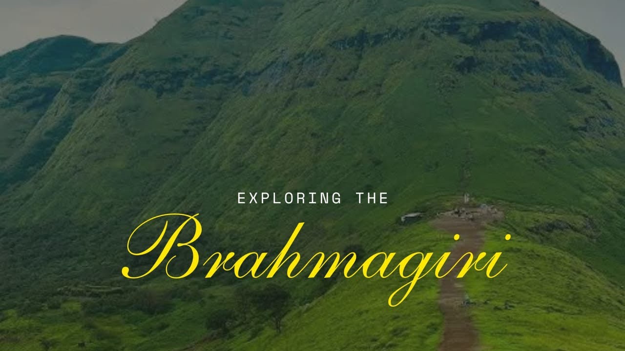 Brahmagiri Trekking | ബ്രഹ്മഗിരി വയനാട് 
