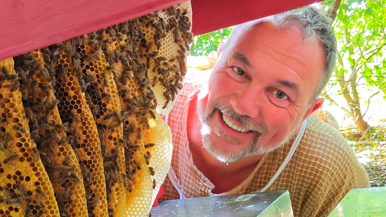 Essaims d’abeilles : typiques, forcés, imprévus - Mode d'emploi - Apiculture S05E02