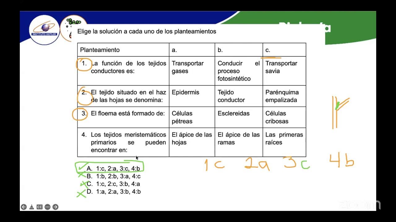 Sesión Reactivos UAM 2026 Química y Biología