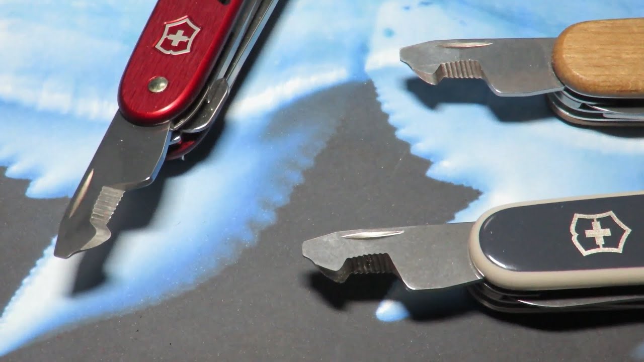 Scary biomimicry at Victorinox? A package opener shaped like a tiger shark tooth!