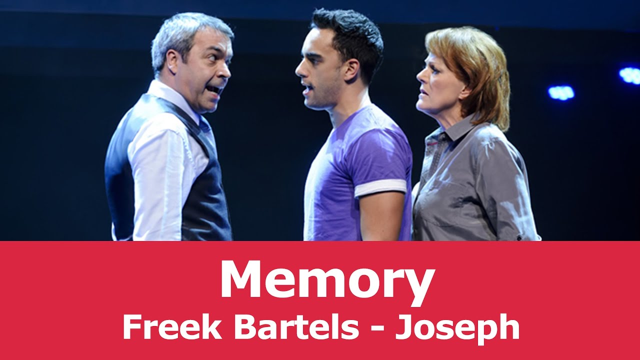Freek Bartels over Next to Normal | Memory