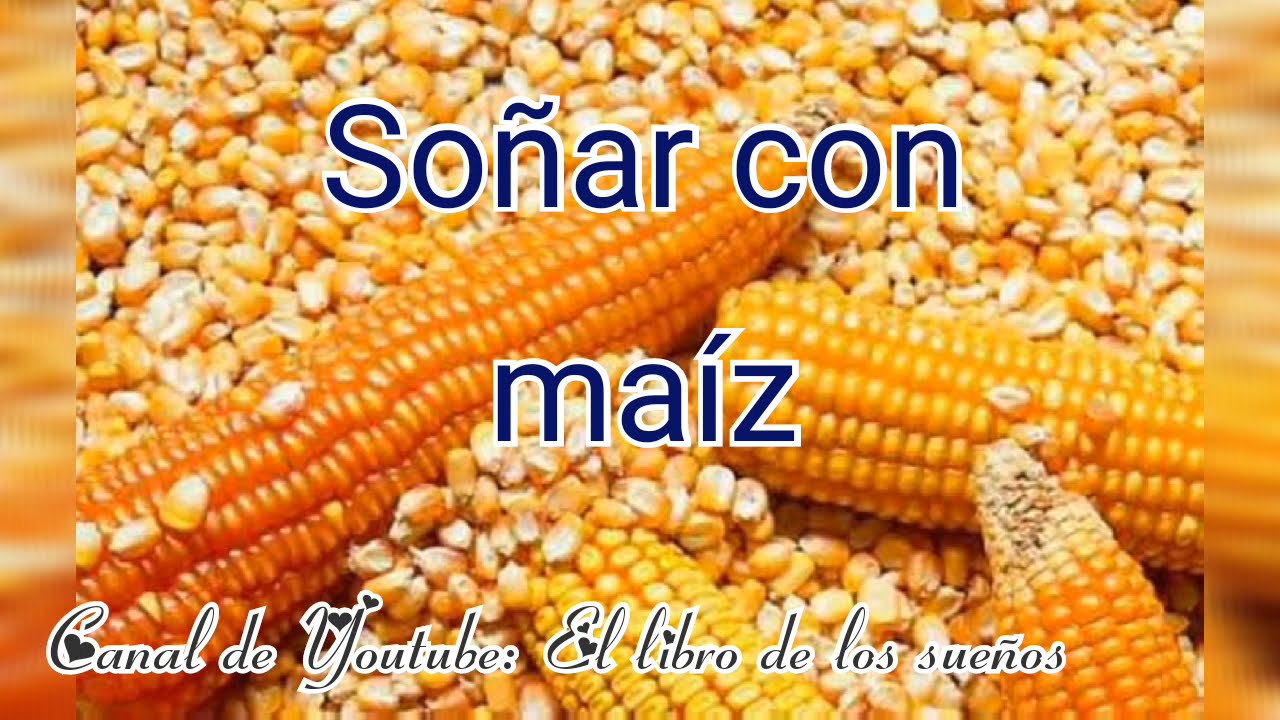 So&ntilde;ar con ma&iacute;z, maizal, comiendo ma&iacute;z, comer pan de ma&iacute;z etc.