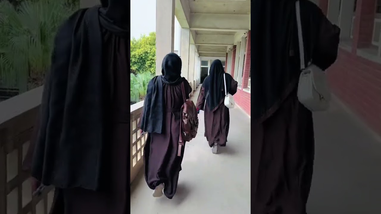A day in uaf | university of agriculture Faisalabad| main campus