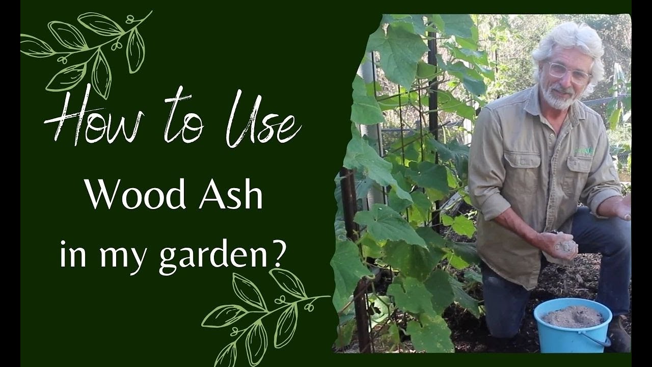 How to Use Wood Ash in the Garden