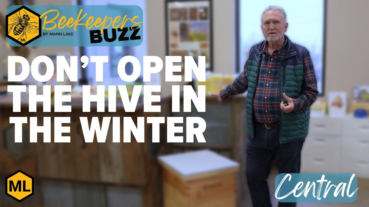 Never Open a Hive in the Cold, Add Winter Patties, And What you can Do with Your Wax