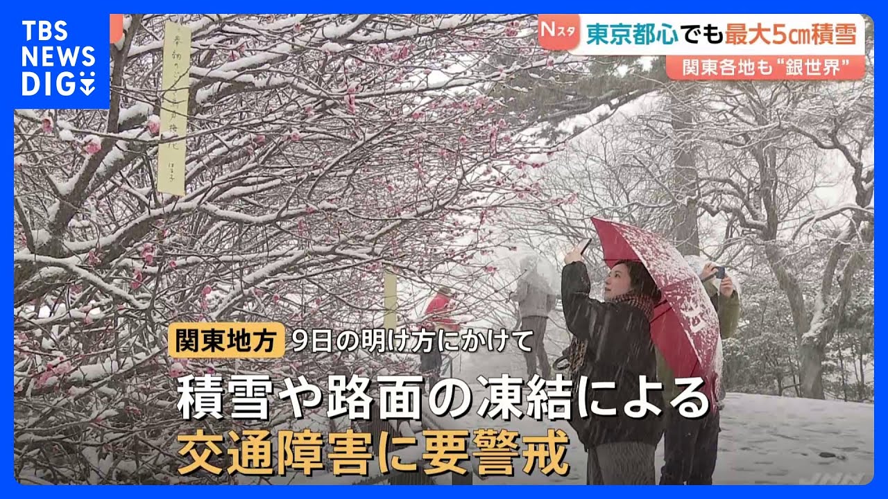 東京都心で最大5cmの積雪　関東各地も“銀世界