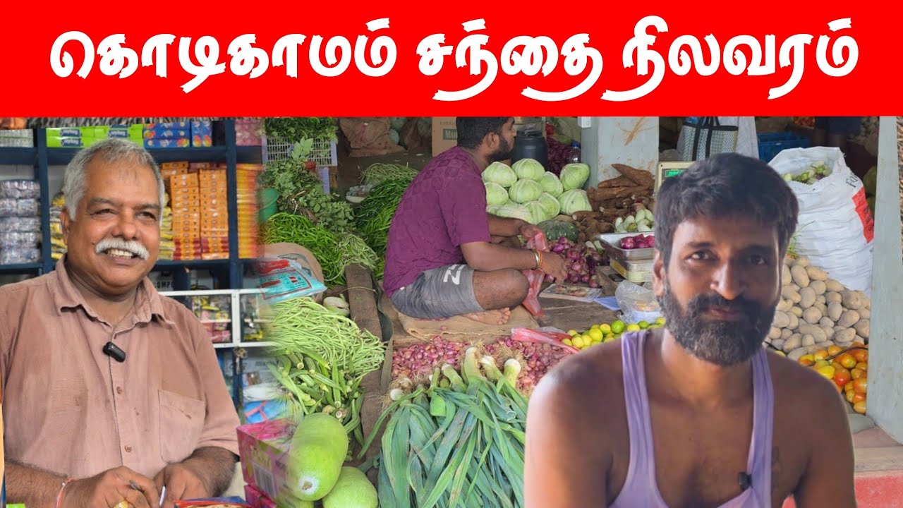 மரக்கறி விலை சரிவு | கொடிகாமம் சந்தை நிலவரம் | Kodikamam