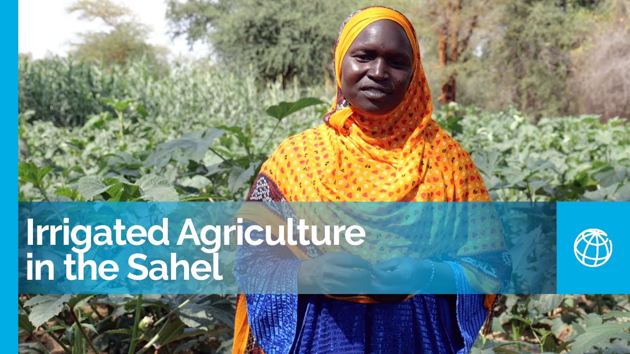 Irrigated Agriculture in the Sahel: Simple and Affordable Technologies That Help Small-Scale Farmers