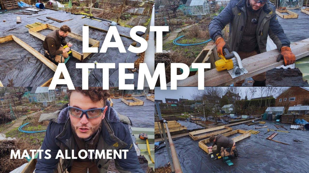 Last Attempt at Raised beds|Suprise Gift |Allotment garden uk 