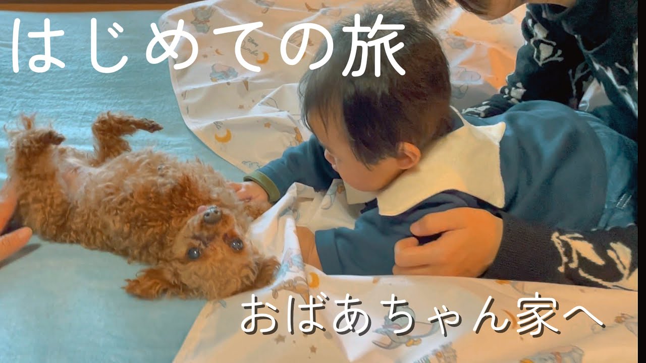 【赤ちゃん｜生後５ヶ月】はじめての長旅！（前編）