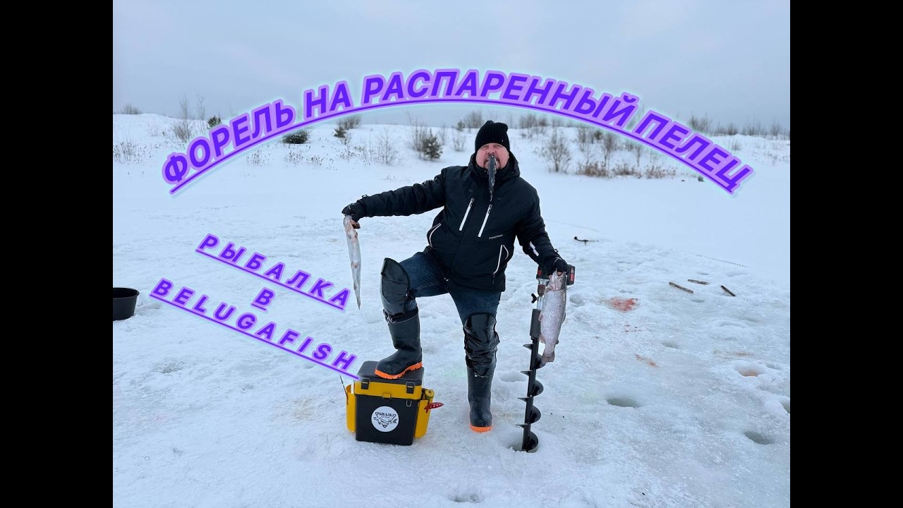 Форель на распаренный пелец