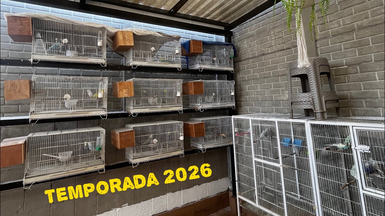 Formando parejas para temporada del 2026