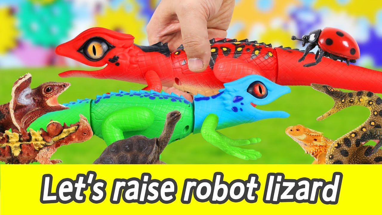 [EN] Let's raise robot lizard!! cocos animation, animals names for kids, collectaㅣCoCosToy