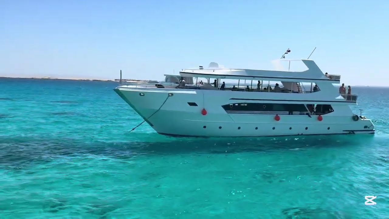 Open Sea snorkelling Egypt May 2025