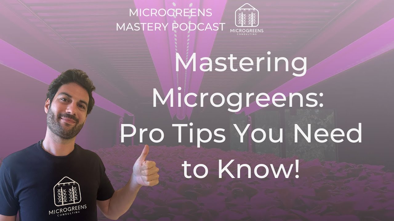 Microgreens Tips I Wish I&rsquo;d Known Sooner &ndash; Q&A with Jonah