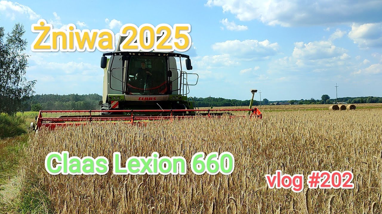 Żniwa 2025 Claas Lexion 660 BovisAgro vlog 
