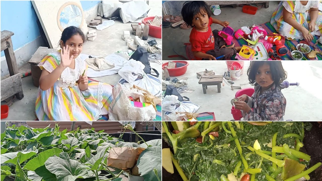 লাউশাক বাজি করলাম আয়াত সাভা কি করে এ গুলো 