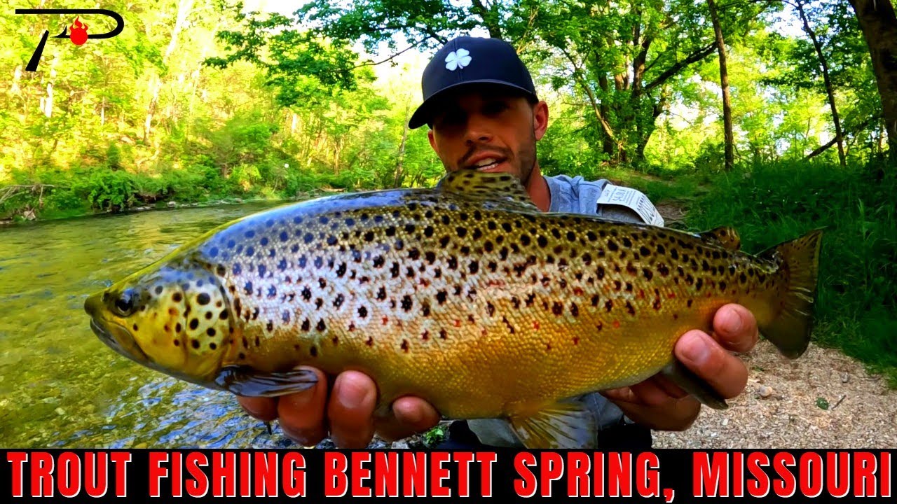 Trout Fishing Missouri's Bennett Springs