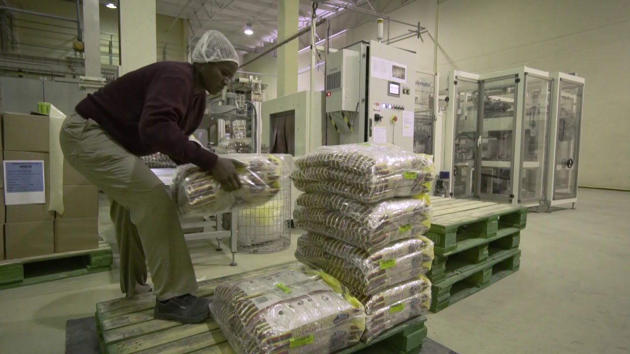 Namib Mills  Pasta Production