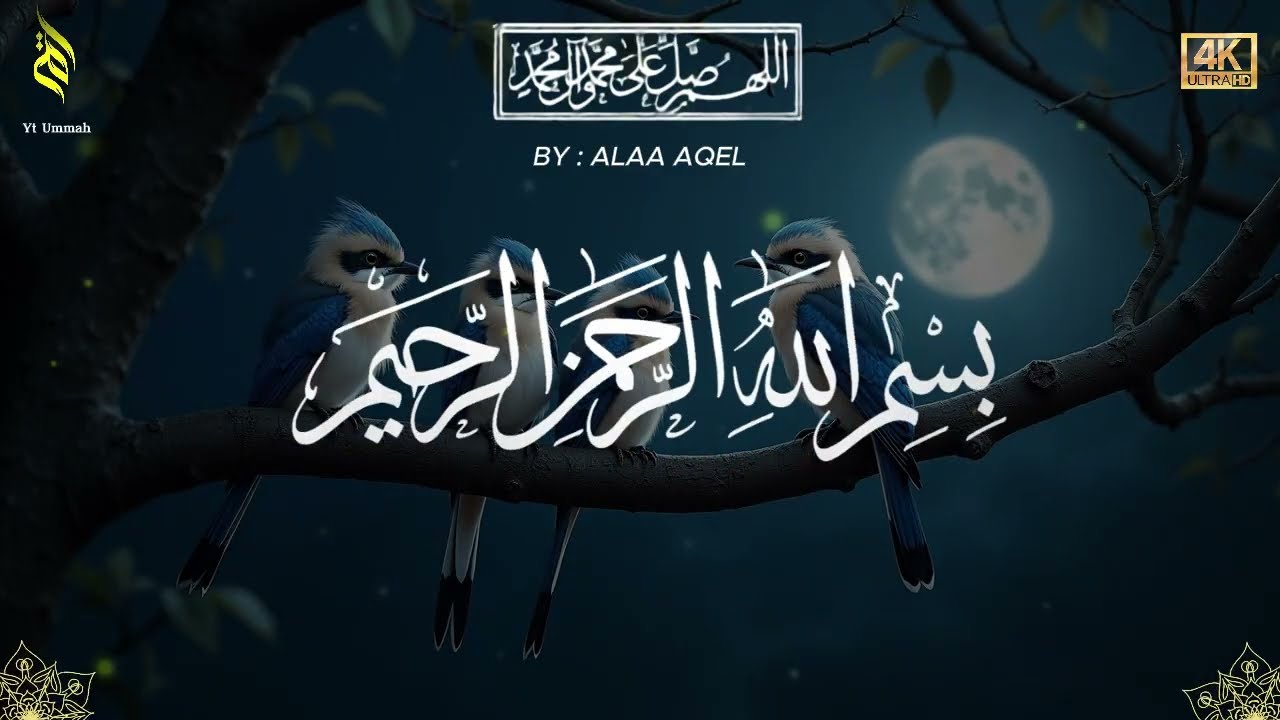 Quran recitation in a peaceful voice I ayat al kursi, yasin, alkahfi, alwaqiah, arrahman, Alaa Aqel