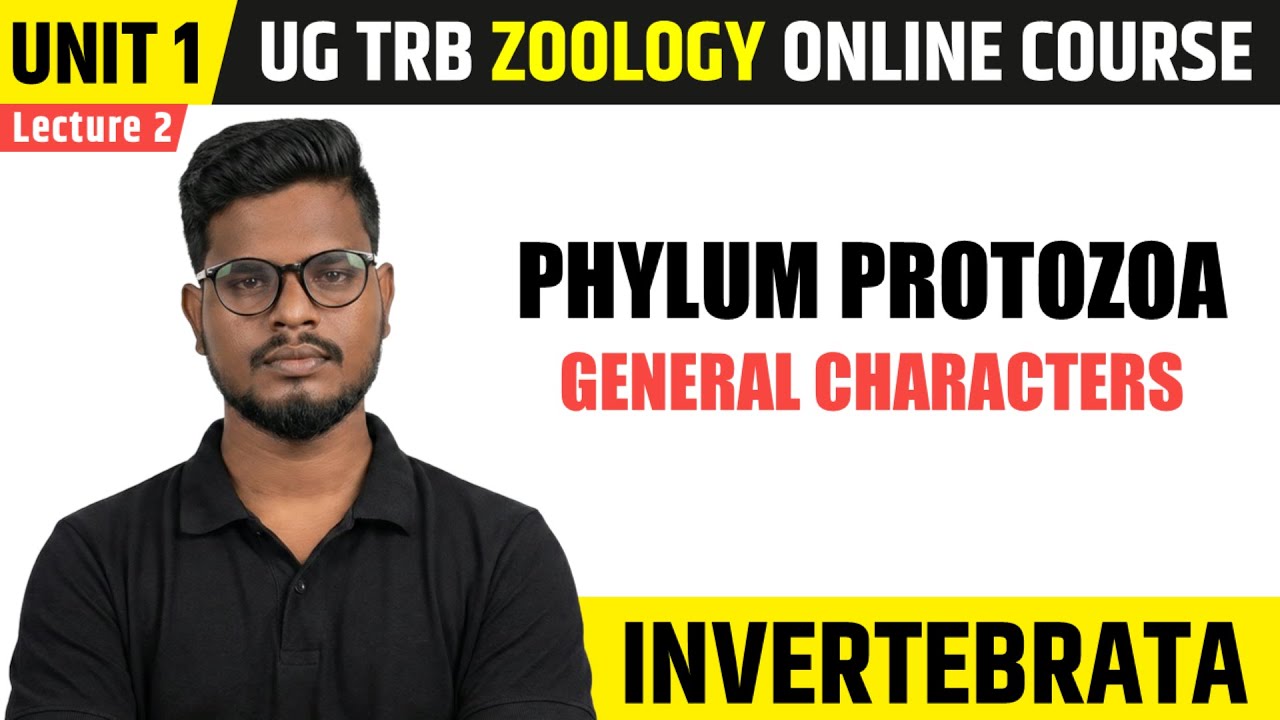 Phylum Protozoa | Invertebrata in Tamil (2) | UG TRB Zoology Course