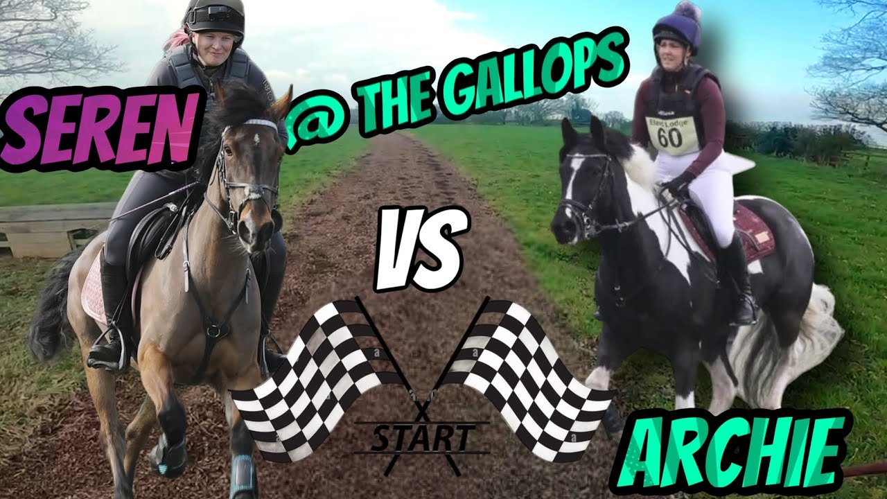 THE WHIZZY WELSH'S FIRST TIME AT THE GALLOPS
