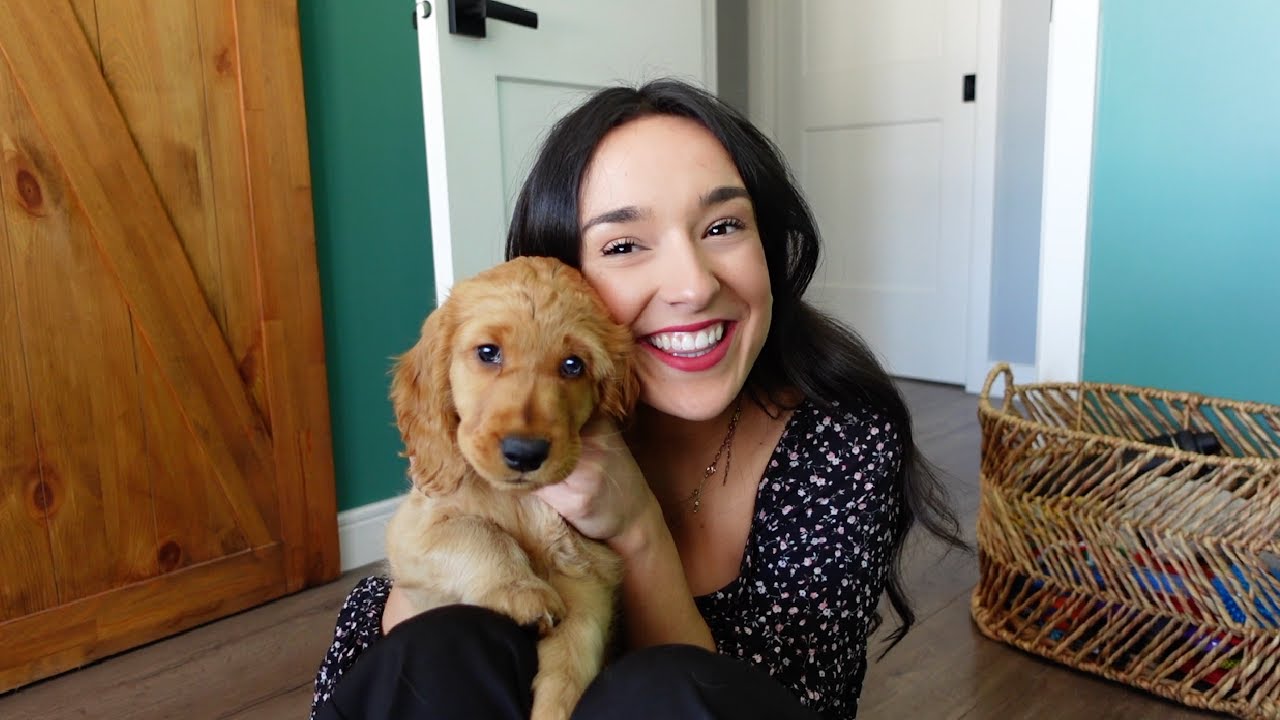J’AI ADOPTÉ UN CHIEN 🐶🥹