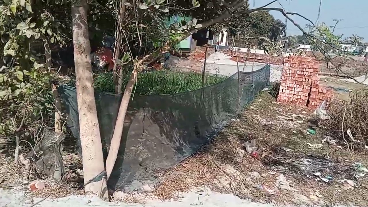 সাভার আশুলিয়া দক্ষিণ গাজিরচট শিল্প এলাকায় জমি বিক্রি | ১৪ ফিট রাস্তা। 📞01683-805276 | Land Sale BD