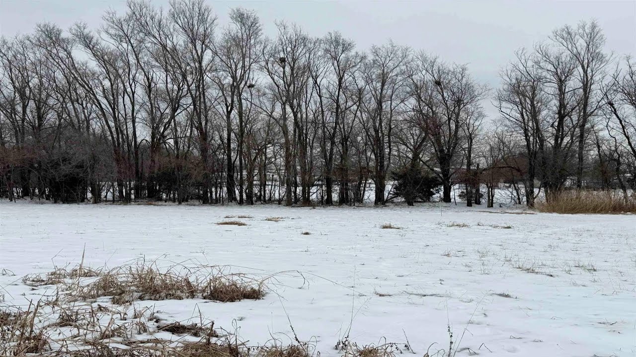 NEW LISTING: Lot 14 lock 6 Angel Acres Add Wichita KS 67216