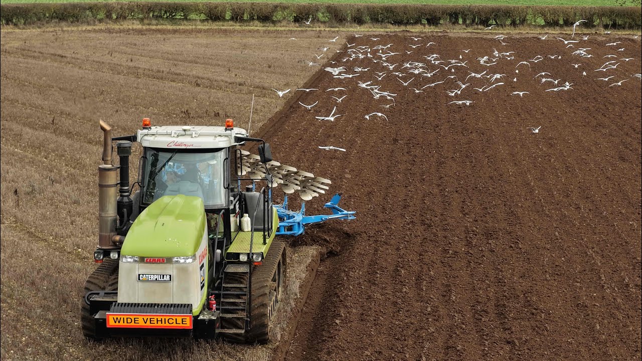 #lemken diamant 18 8 furrow plough 