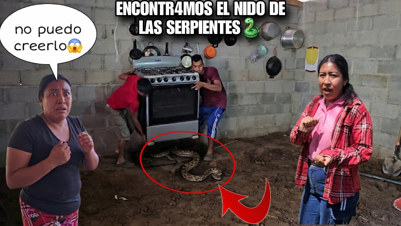 Encontramos Esta Gran Serpiente Debajo De La Estufa De JOSELIN🐍Juan Grito Del Susto Al Verla😱