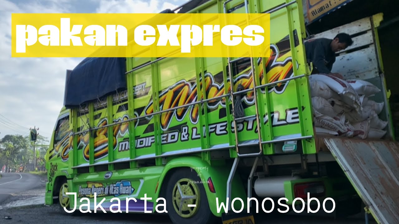 Muat pakan ayam potong |truck Juragan muda|