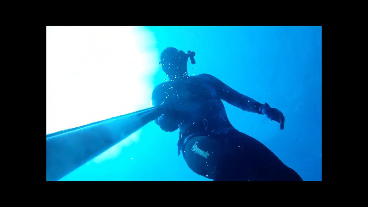 Freedive Shipwrecks: YO-257, San Pedro & Atlantis Submarine