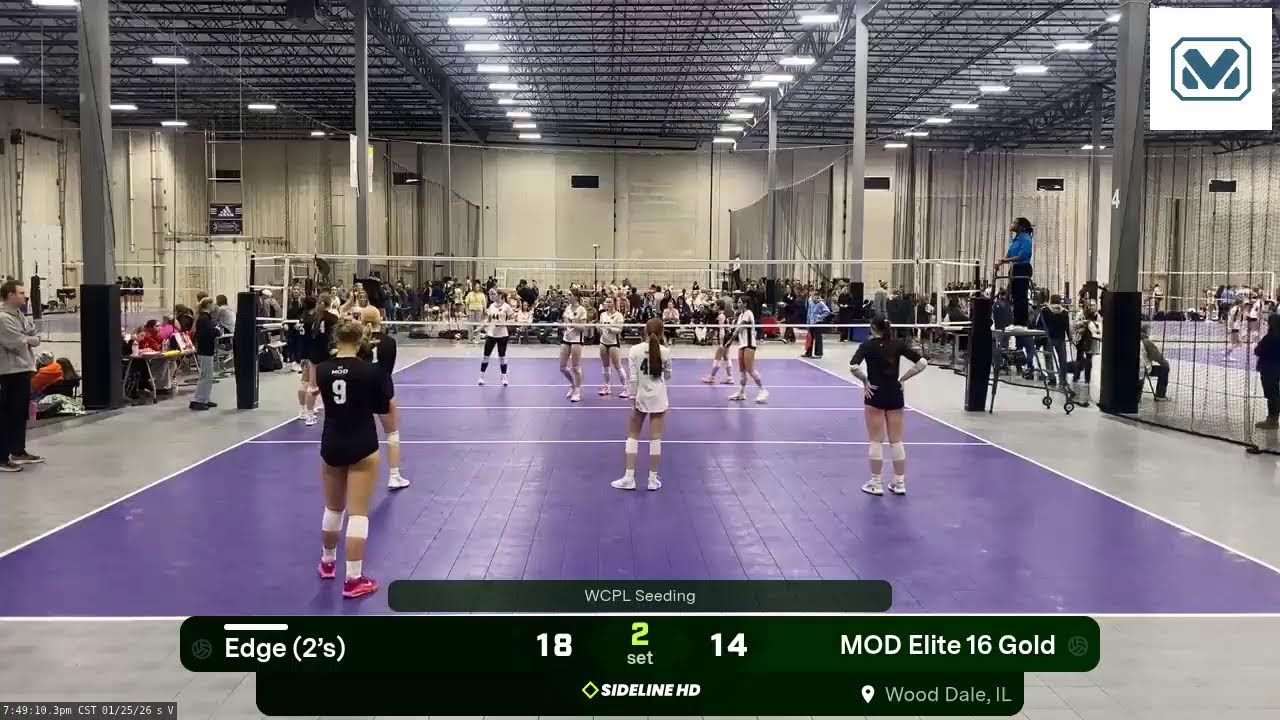 MOD Elite 16 Gold vs. Edge (2’s) (2026.01.25)