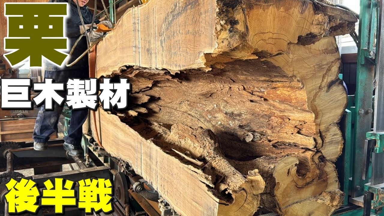 【一枚板の製材】大きな穴があいた栗の巨木を製材したら、スゴイ木目があらわれた！【後半戦】