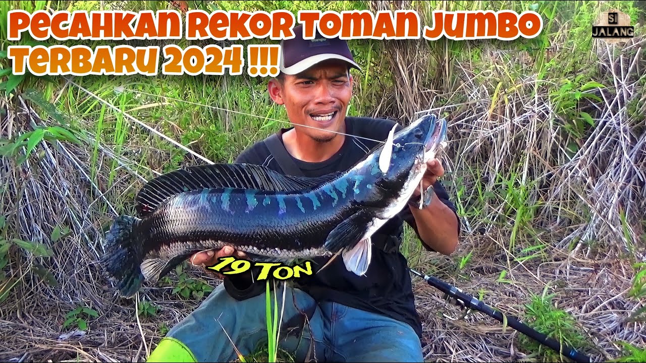 Bambang Kembali Pecahkan Rekor Pribadi Toman Monster Terbaru 2024 !!!