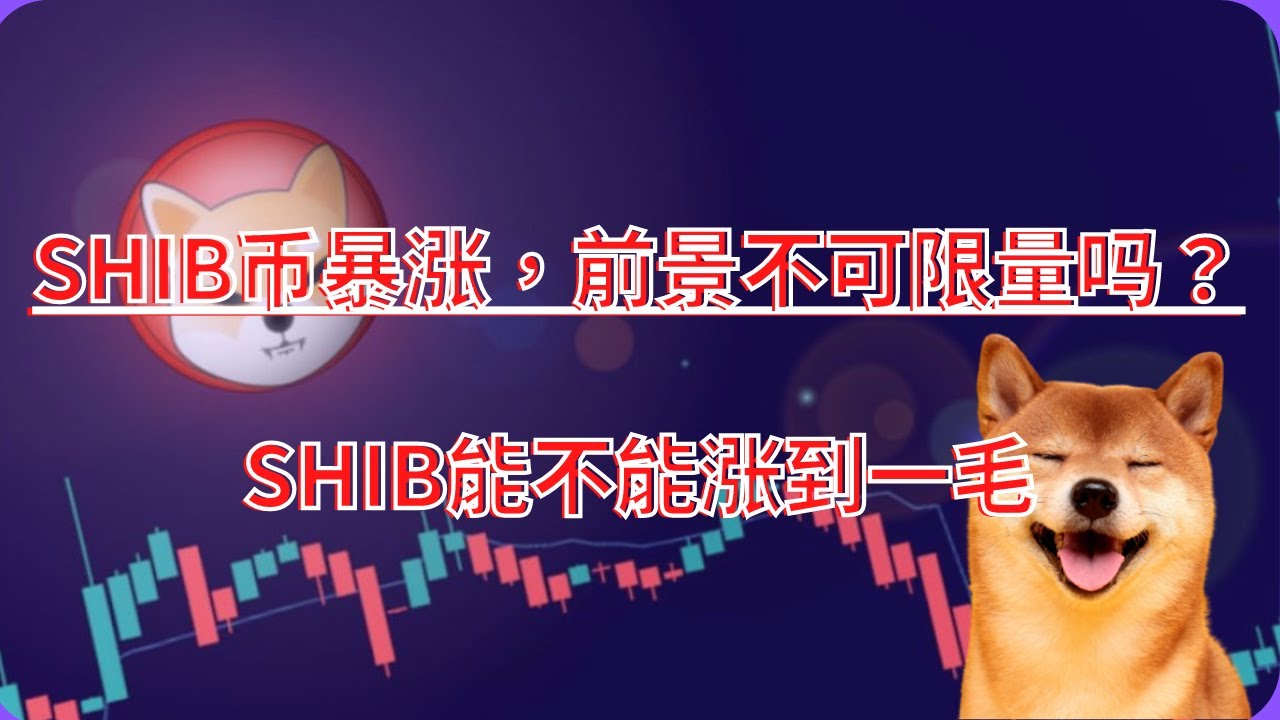 SHIB币暴涨，前景不可限量吗？SHIB能不能涨到一毛？