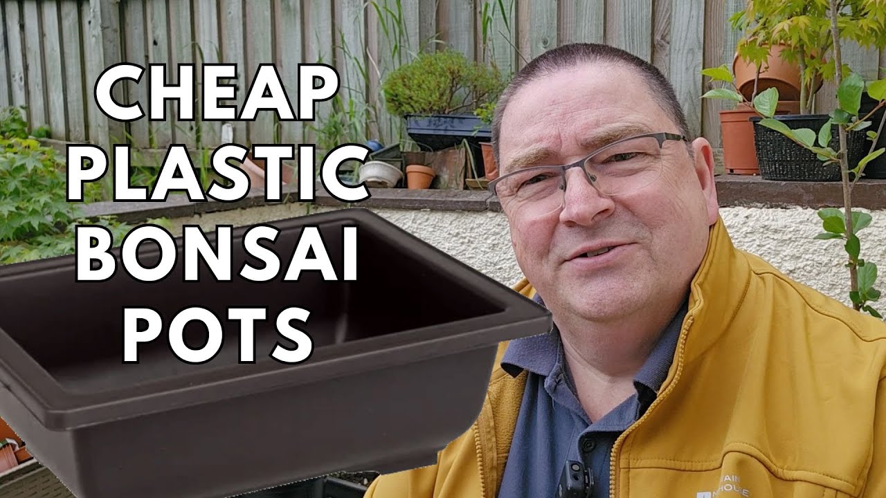 Cheap Plastic Bonsai Pots | Training Pots | Unboxing