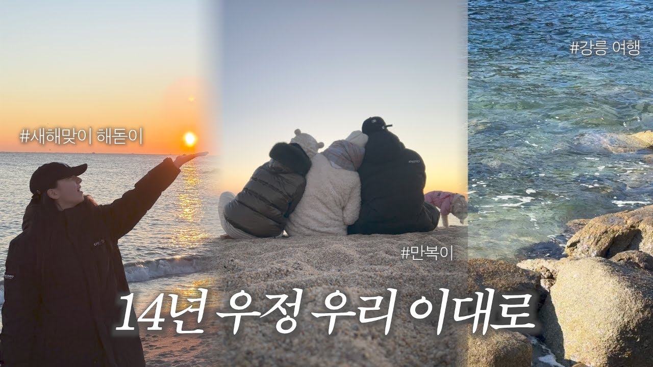 혼자 말고 여자 셋 강릉 브이로그 (Feat. 설아, 수빈)