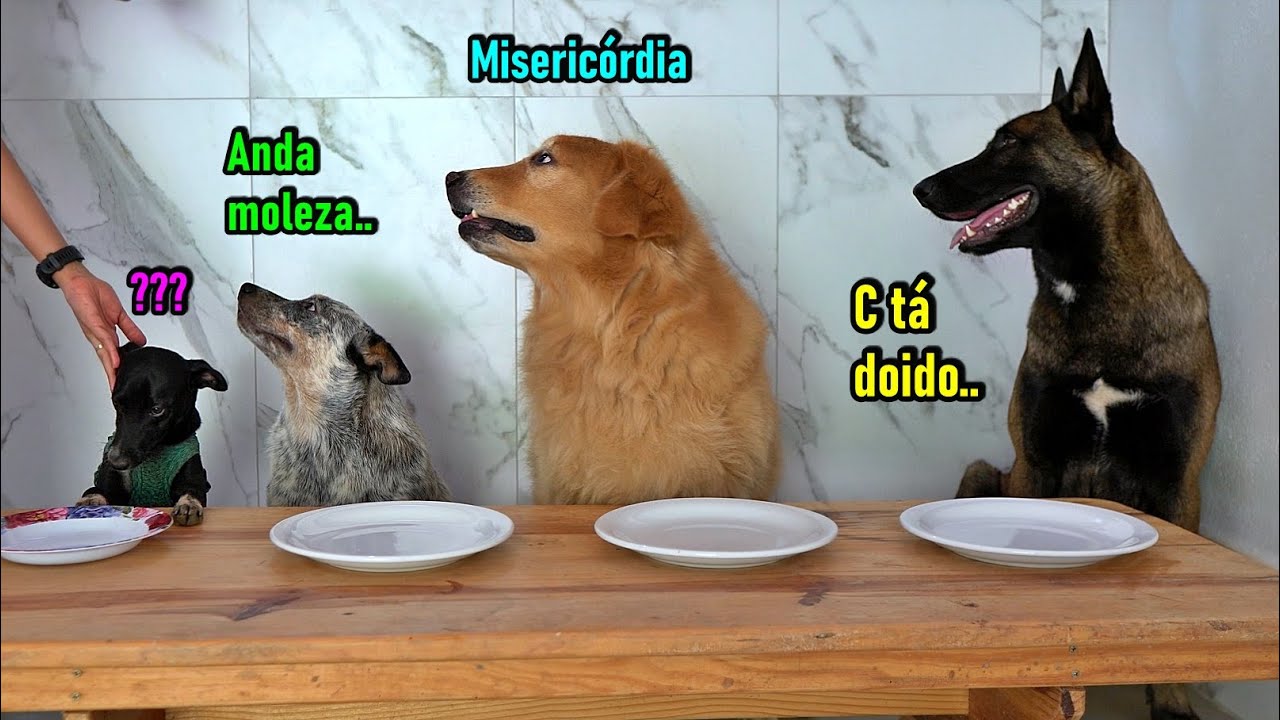 Comendo na mesa juntos - SERÁ QUE DEU CERTO?