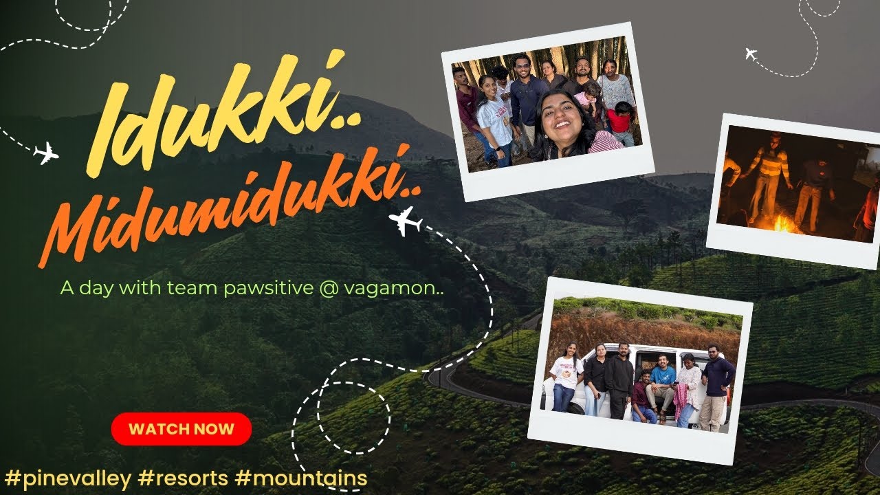 Idukki the Midukki Trip with 14 I #vagamon #trip #idukki #resort #christmas #vibes #malayalam #viral