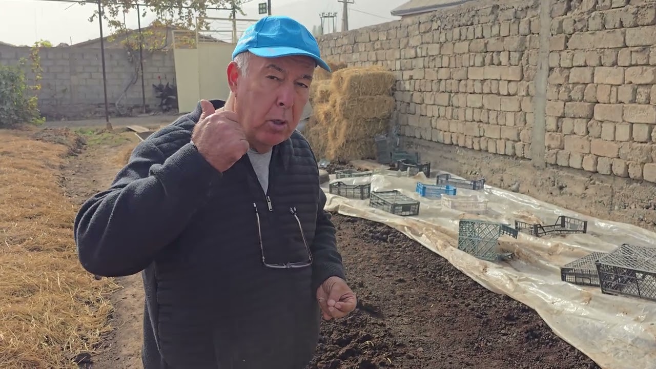 +992909883641 акаи Абдулло. Биогумуси беҳтарин 2.5 сомонӣ 1 кг.