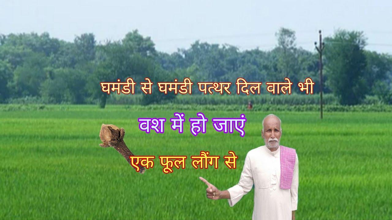 एक फूल लौंग से घमंडी  पत्थर दिल वाले भी दिवाने बन जाते अदभुद मोहिनी