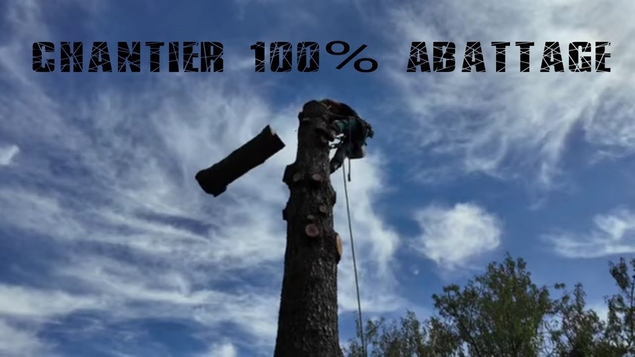 Chantier 100% Abattage