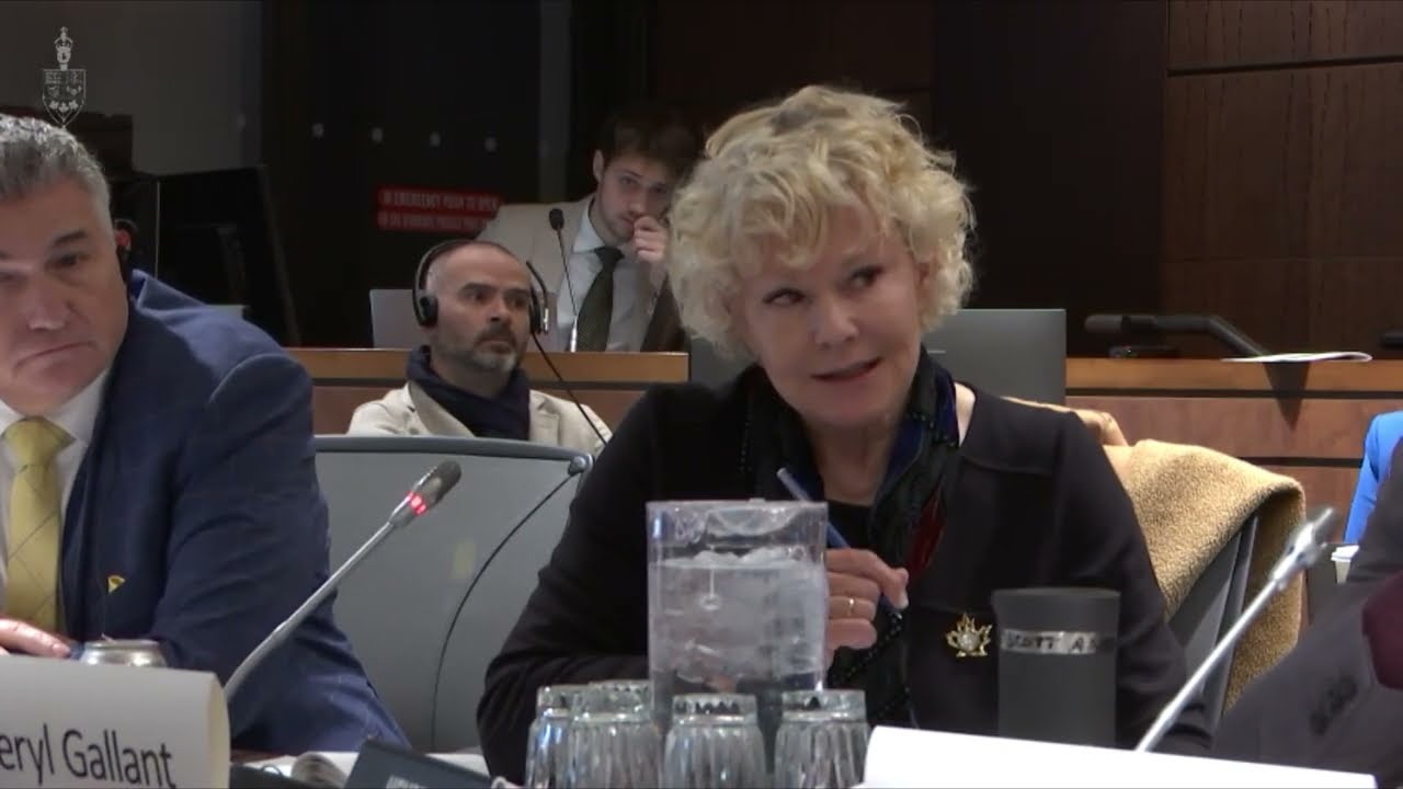 Discussing the nexus between critical minerals and national defence at the  Defence Committee