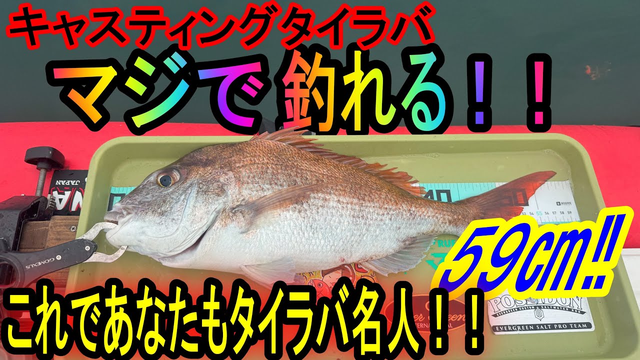 【初心者必見】これであなたもタイラバ名人？？スピニングとベイトタックルの使い分けでツ抜け達成！！
