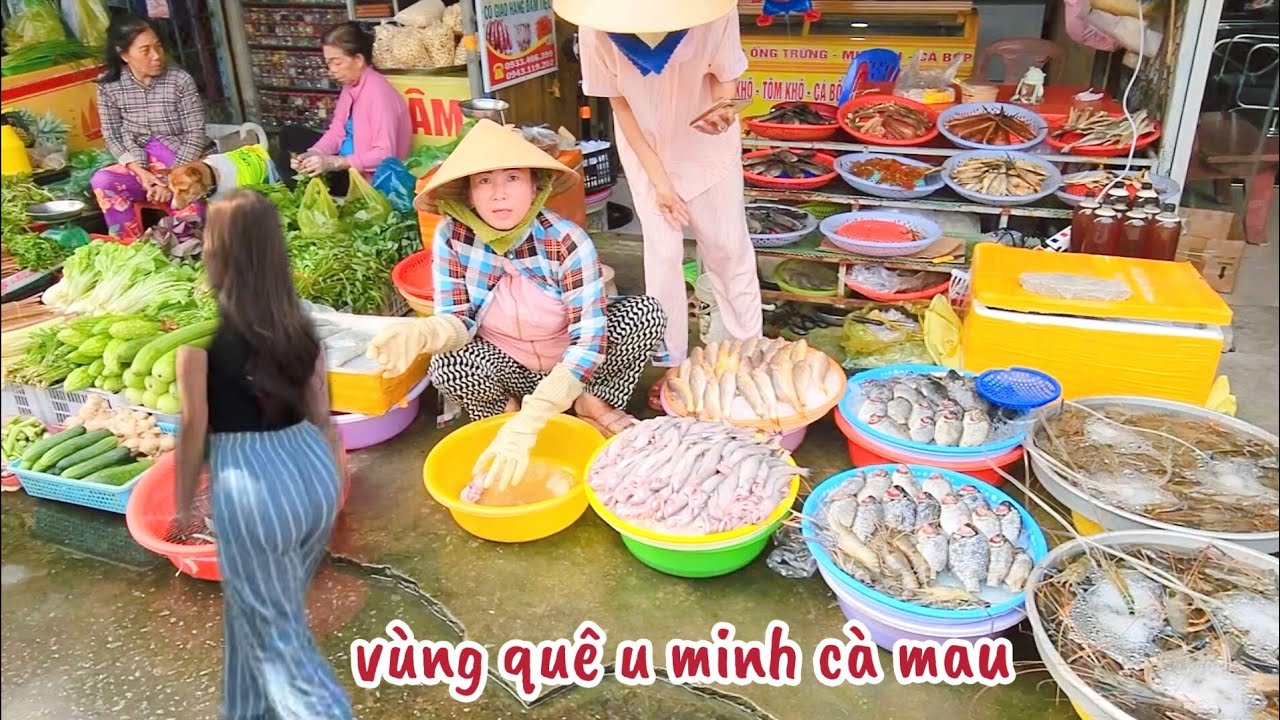 Cuộc Sống Vùng Quê U Minh Cà Mau: Chợ U Minh Bán Toàn Đặc Sản, Bà Con Thu Hoạch Tôm Càng xanh 2026